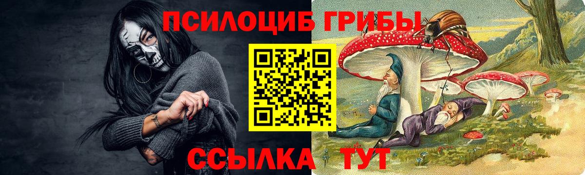 Псилоцибиновые грибы Psilocybine cubensis  Вход с VPN  Солнечногорск 