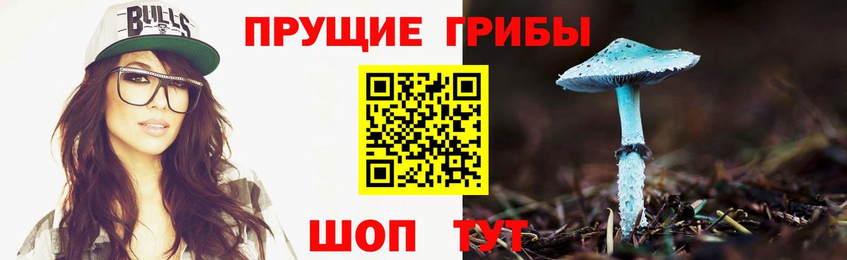 Псилоцибиновые грибы прущие грибы Солнечногорск